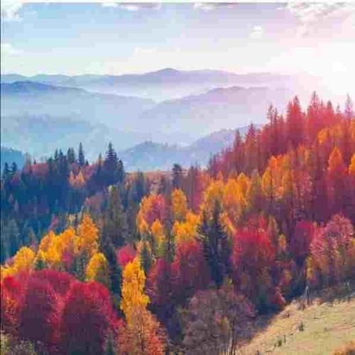 ای جان ای جان از کجای کیهان در قالب انسان اومدی