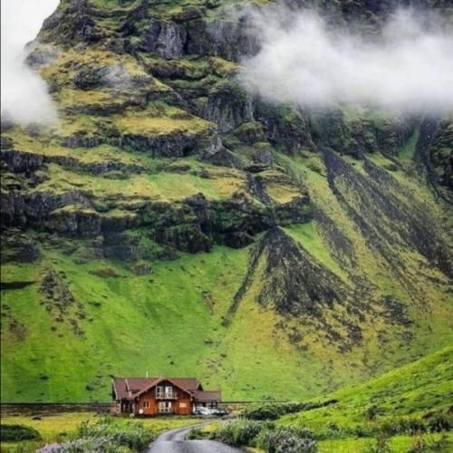 گیساش بلنده ولک رو خوش میریزه ولک