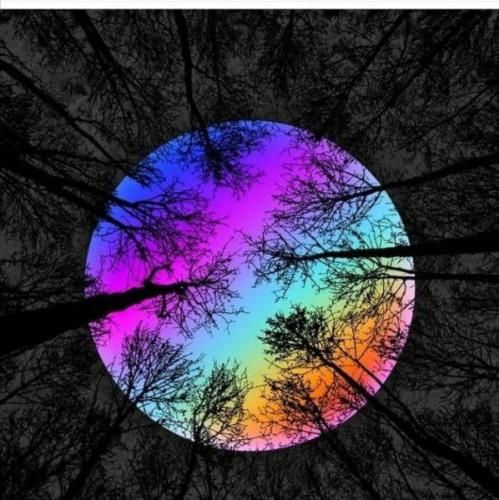 اینجارو میخوامش با تو ندزد از من چشم هاتو