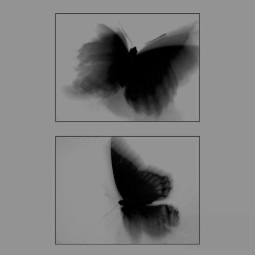 افغانی شیرین یارکیم بلایت به جانم بزنه