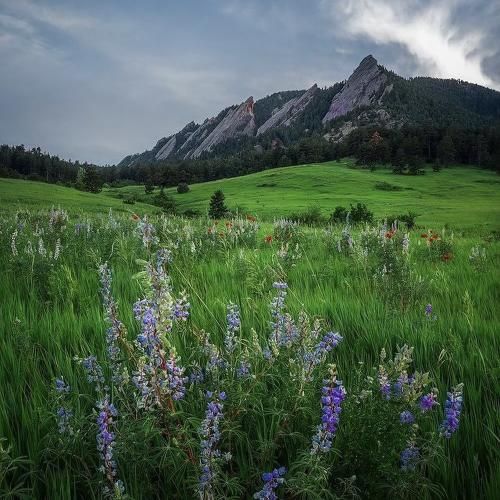 سرمو بازم زدم دیوار چشمام خون قلبم با صدای دختر