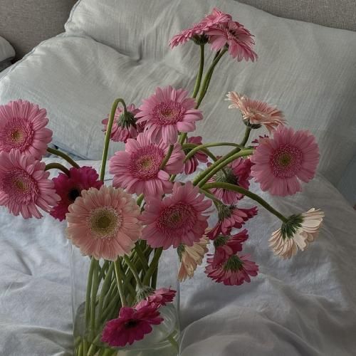 من همینم که هستم نمیخوره نصیحت به دردم
