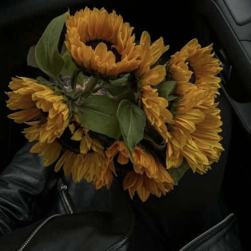 دخترم گیمره میدونی بازیت میدن این بچا دیگه