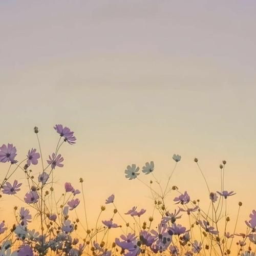  چرا مادر شوهر می‌جنگه میگه چقدر ژل زده پلنگه