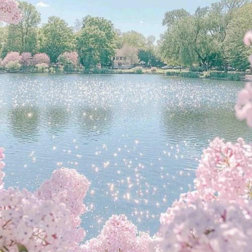 بی تو از این زندگانی قلبم آزرده گشته