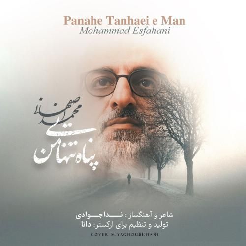 محمد اصفهانی پناه تنهایی من