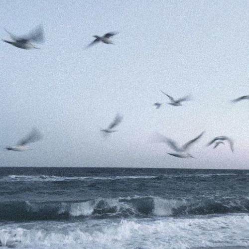 اگه کسی بهت گفت دوستت دارم دروغه