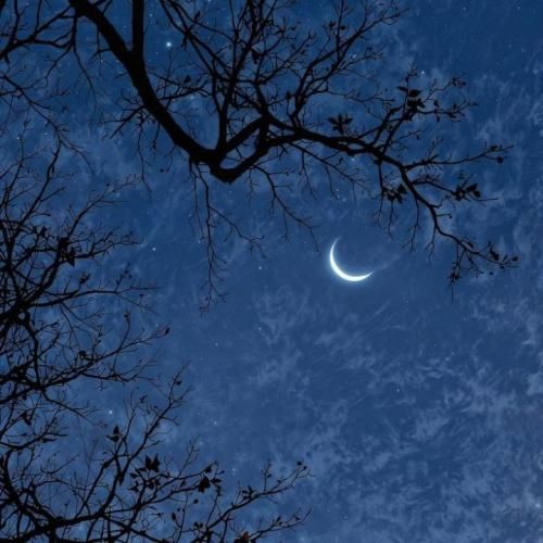  نمیتونم فراموش کنم اون همه داستانو دوستت دارم