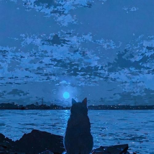 دانلود آهنگ روی موندنت ندید بستم شدی خارج از دید رس