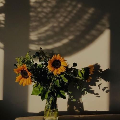 چرا بد میشن برا ما همه نمیدونم شایدم از دل سادمه