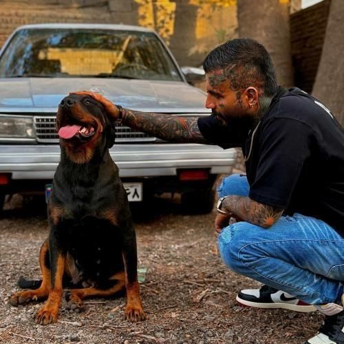 دانلود آهنگ یکی نیازمه با صدای مهدیار دانلود آهنگ یکی نیازمه با صدای مهدیار