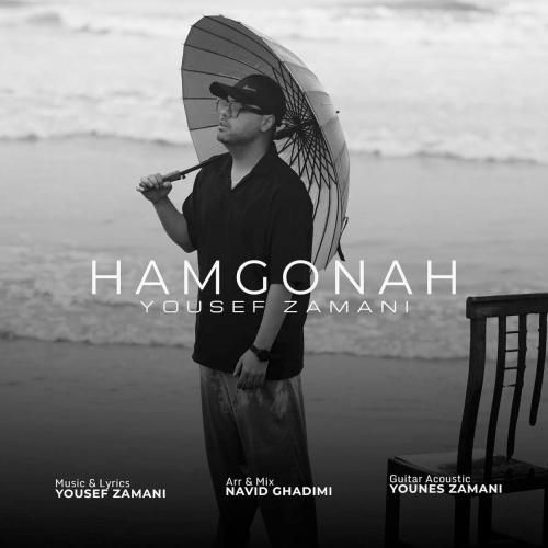 دانلود آهنگ هم گناه با صدای یوسف زمانی