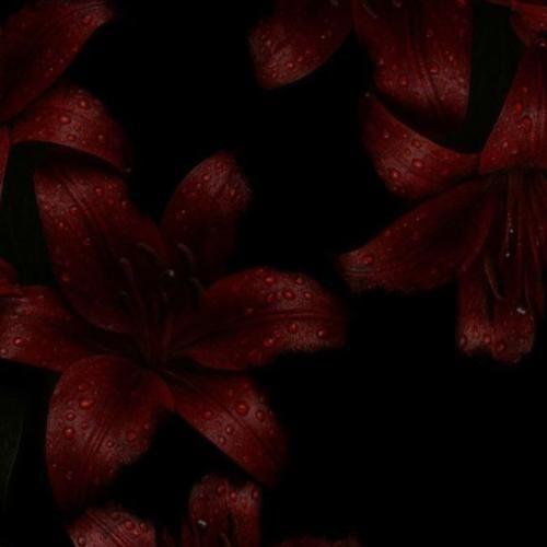 دانلود آهنگ مهم نی از جیبم هرچی درآد ولی تقریبا حال میده بعضی شبا